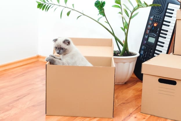 %name A How to Guide for Moving with Pets